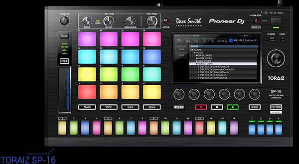 Pioneer Toraiz SP-16